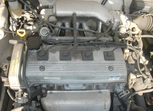 
								Altezza gita full									