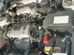 
										Altezza gita full									
