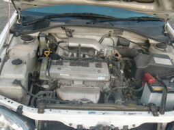
										Altezza gita full									